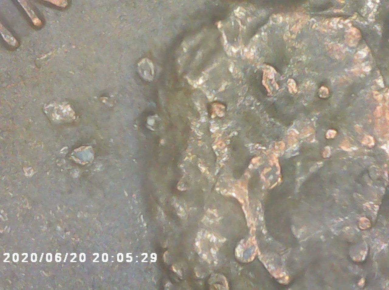 1982-Lincoln-Cent-With-Pimples